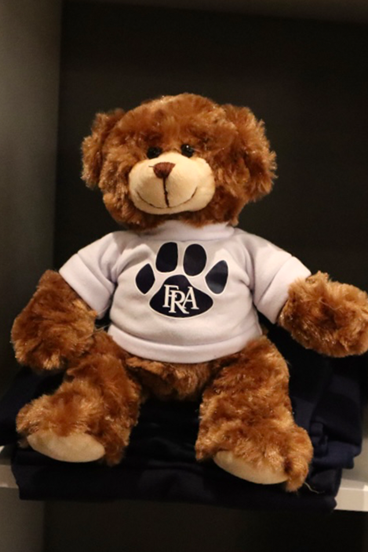 FRA TEDDY BEAR